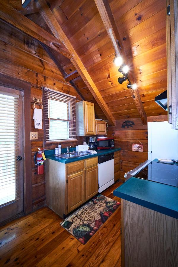 Gatlinburg Area Hottub Cabin - Ladyslipper Sevierville Exterior photo