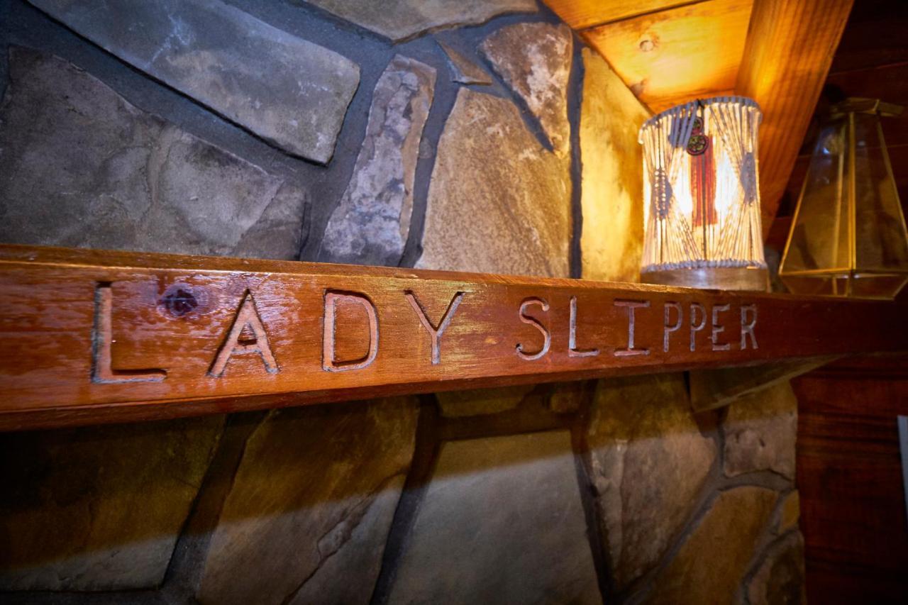 Gatlinburg Area Hottub Cabin - Ladyslipper Sevierville Exterior photo